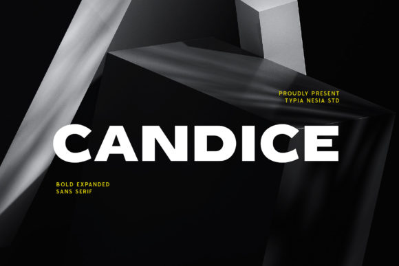 Candice: A Strategic Tool for Modern Visual Communication